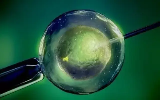 青碧生殖医学中心